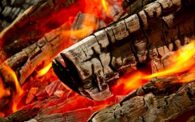 Quel bois choisir pour votre barbecue brasero ?
