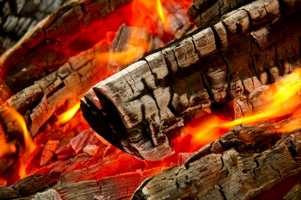 Quel bois choisir pour votre barbecue brasero ?